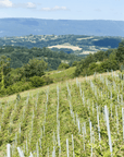 domaine lupin vineyard