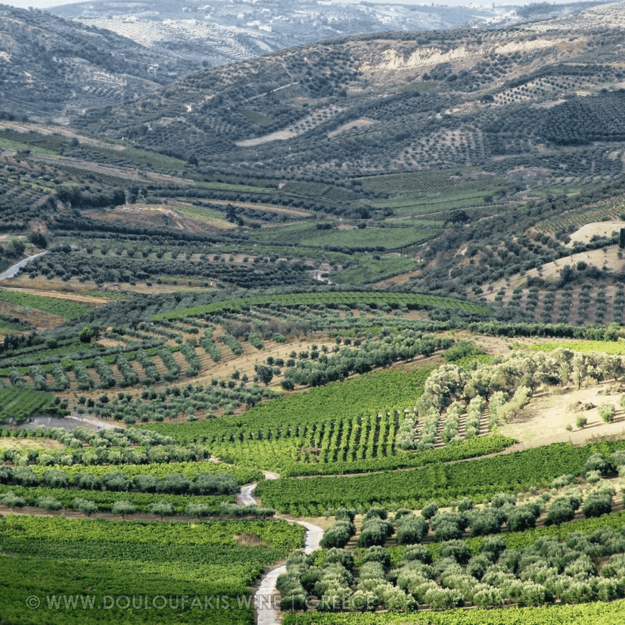 douloufakis vineyard