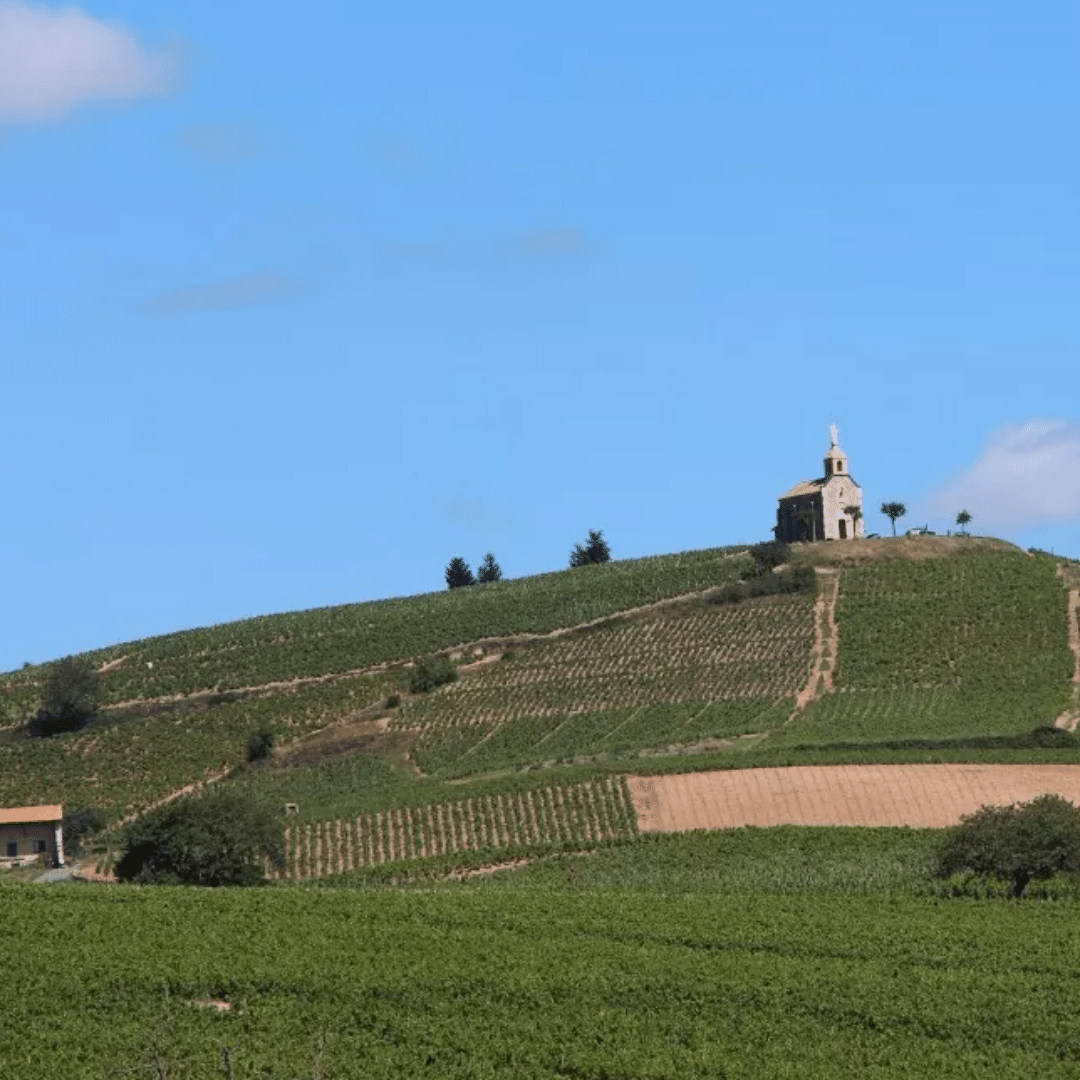 dutraive vineyard beaujolais france