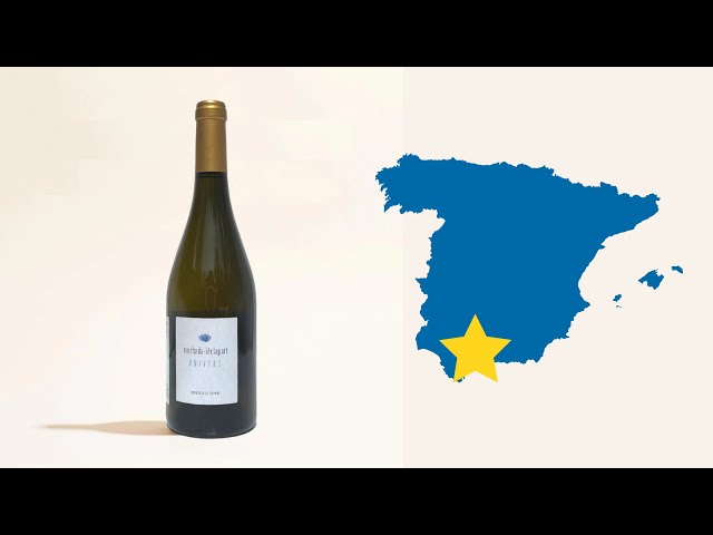 Univers | Muchada-Leclapart | MYSA Natural Wine