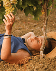 flavia vineyard