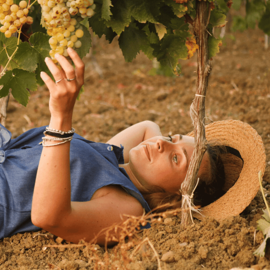 flavia vineyard