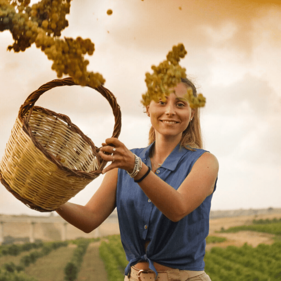 flavia winemaker sicily italy