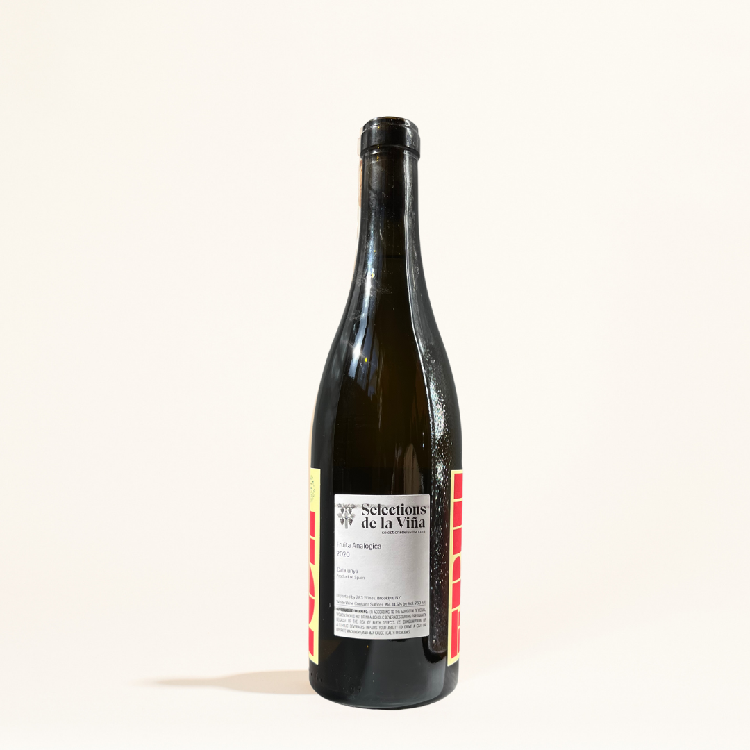 fruita analogica vinyes tortuga natural White wine Catalunya Spain back