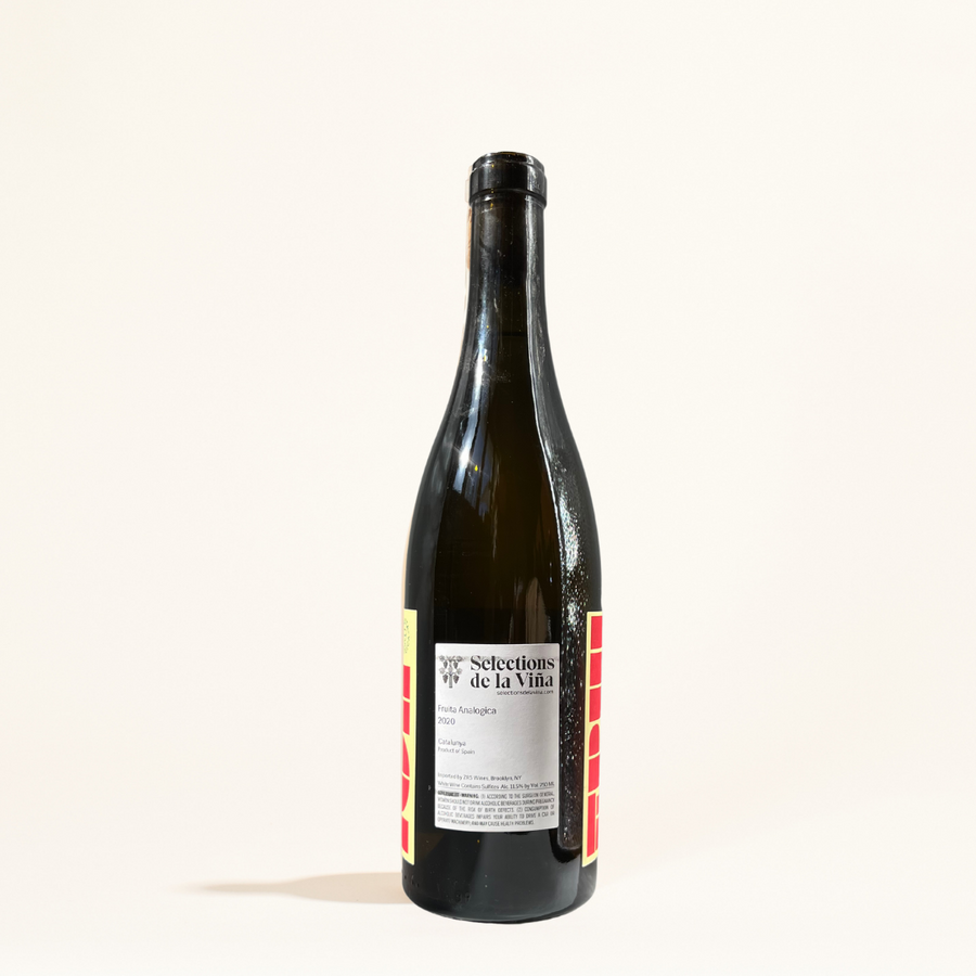 fruita analogica vinyes tortuga natural White wine Catalunya Spain back