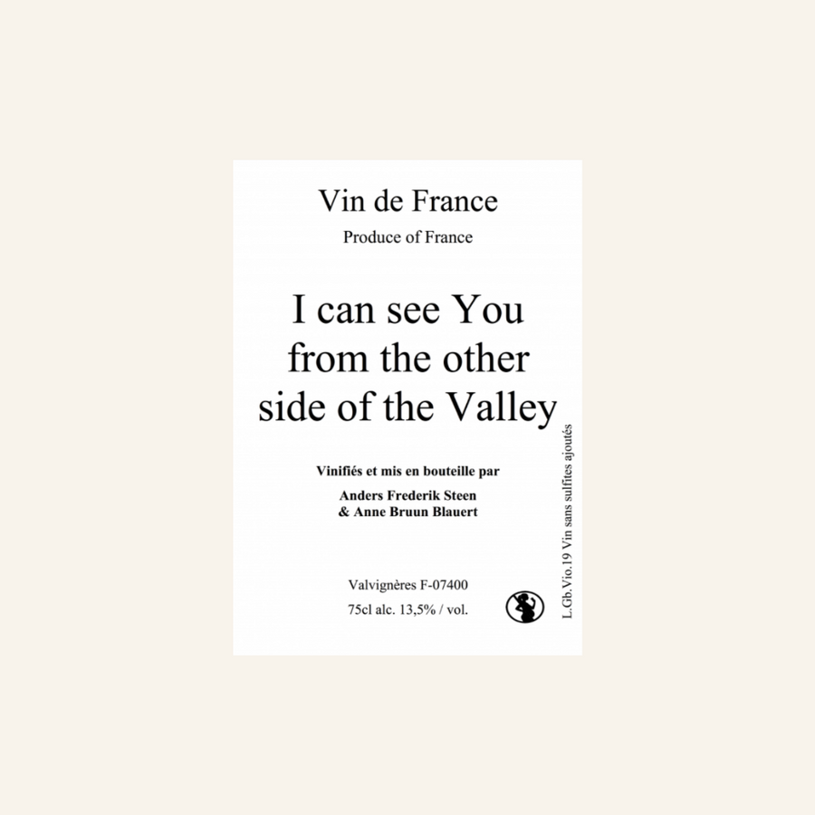 i can see you from the other side of the valley anders frederick steen