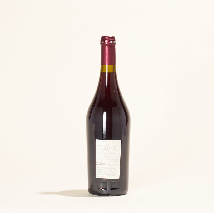 lami karl domaine de la pinte natural red wine jura france