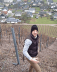 lauer winemaker mosel germany