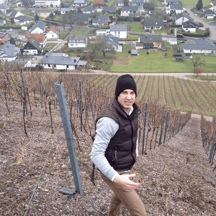 lauer winemaker mosel germany