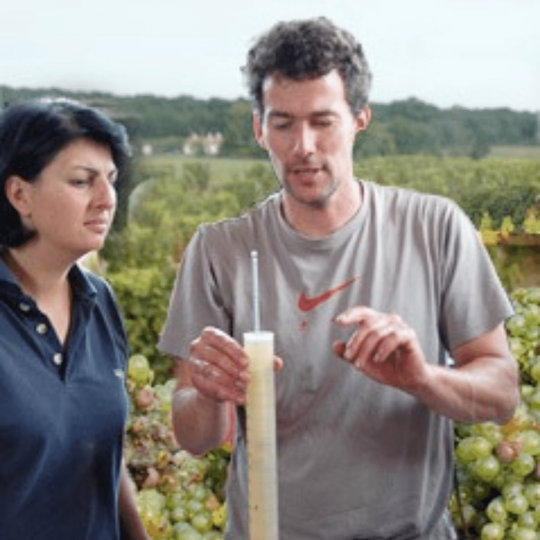 les terres blanches winemaker