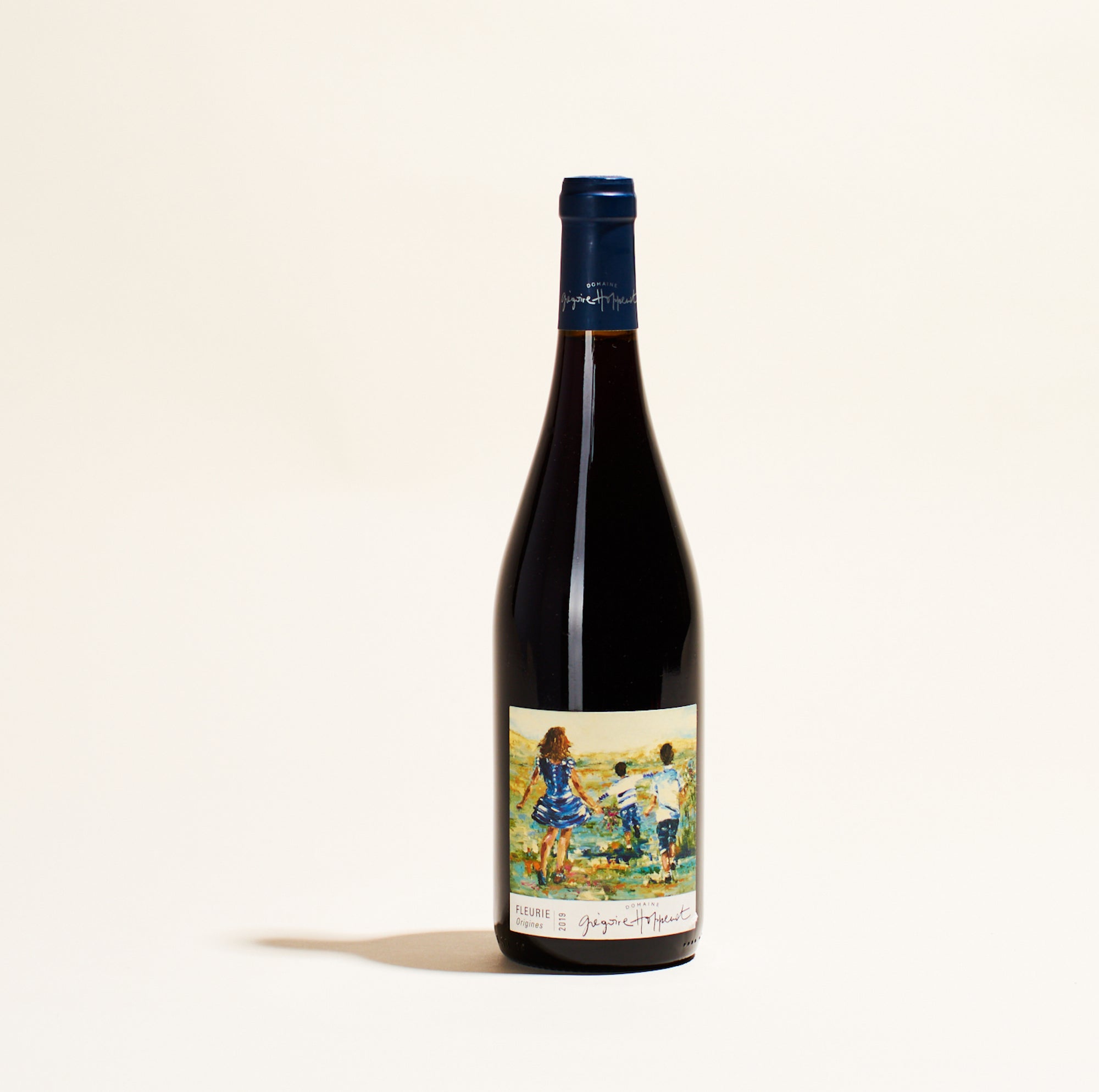 lorigine domaine hoppenot beaujolais france natural red wine