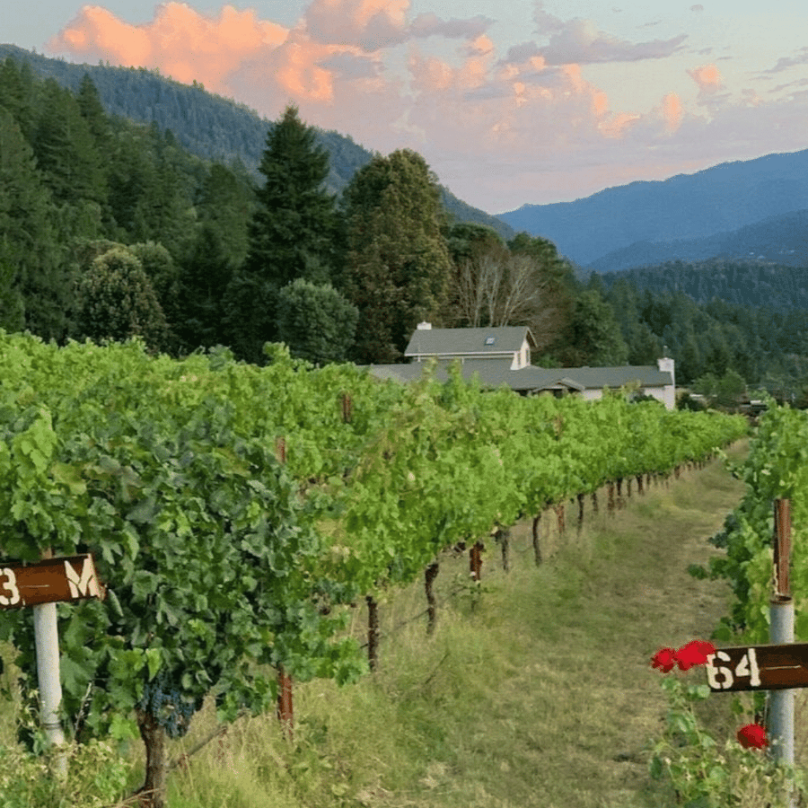 miles garrett vineyard