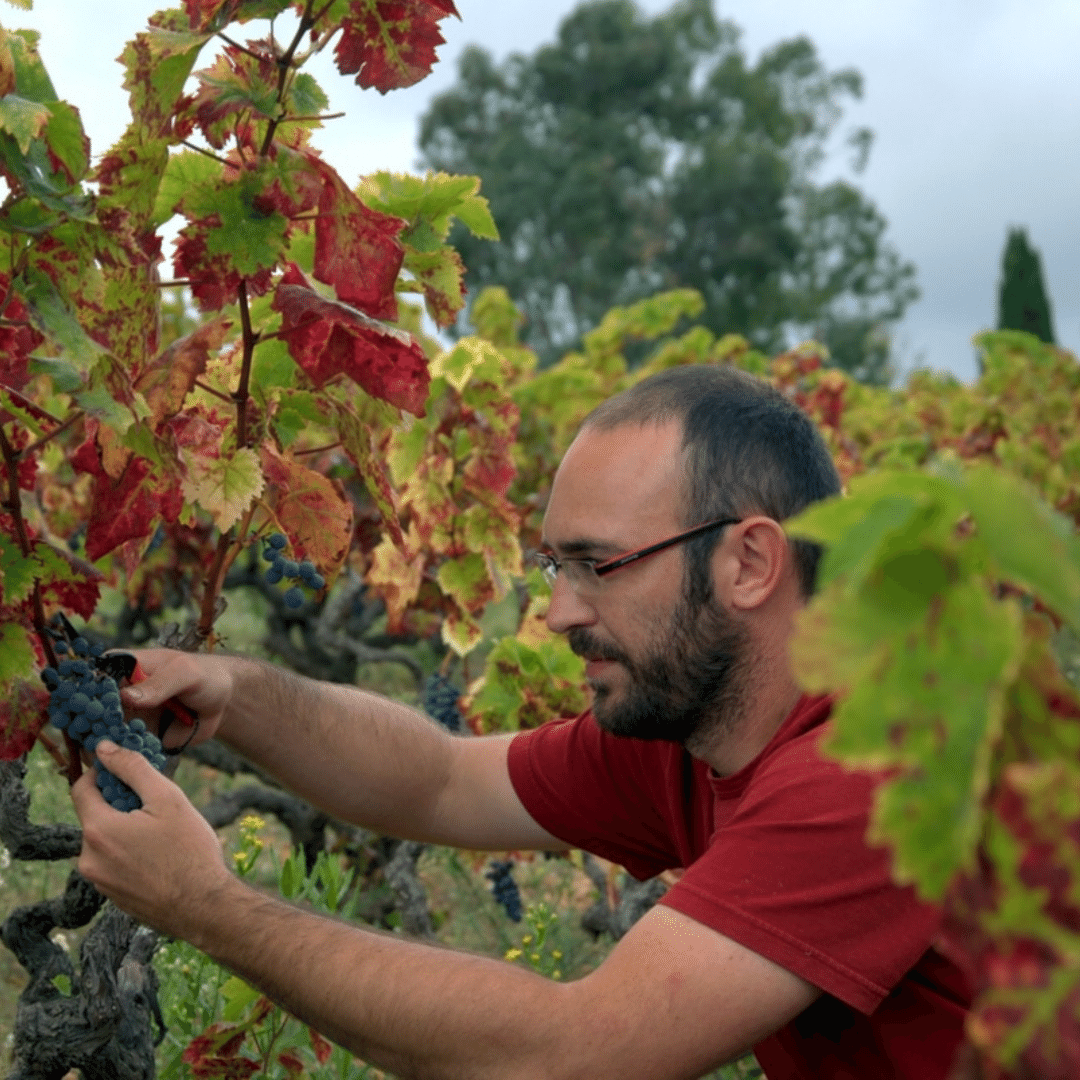 oriol-artigas-winemaker