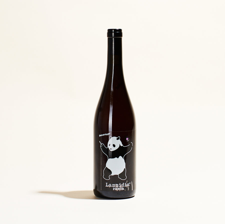 panda lammidia abruzzo italy natural rose wine bottle 