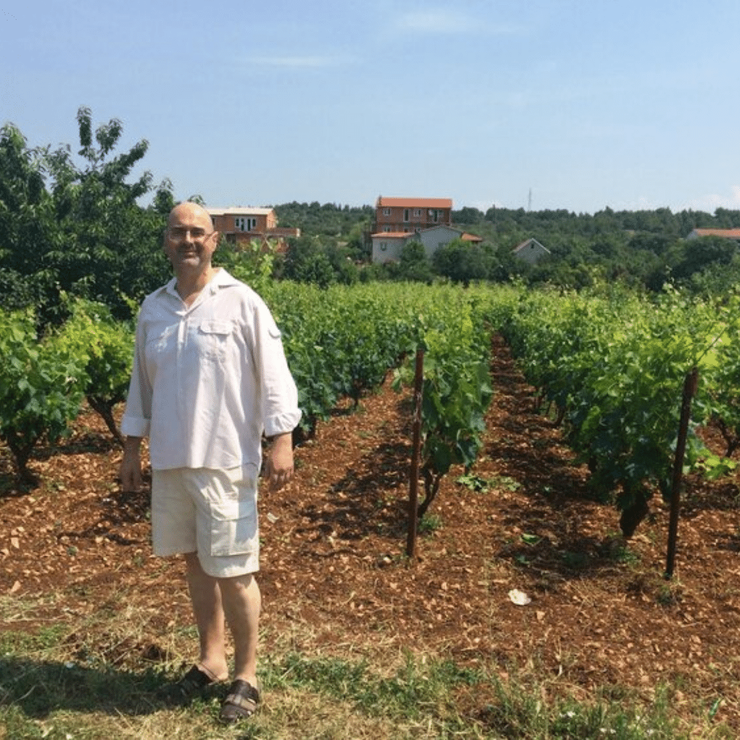 pilizota winemaker dalmatia croatia