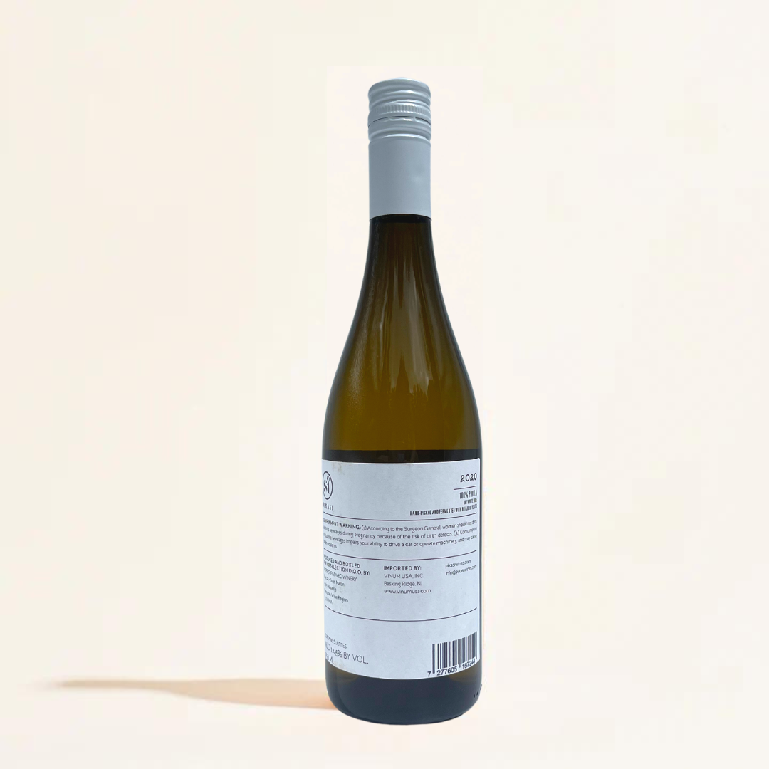 pinela pikasi natural White wine Vipava Slovenia back