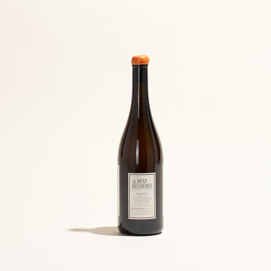 primatraccia-bianco-controvento-natural-orange-wine-abruzzo-italy-back