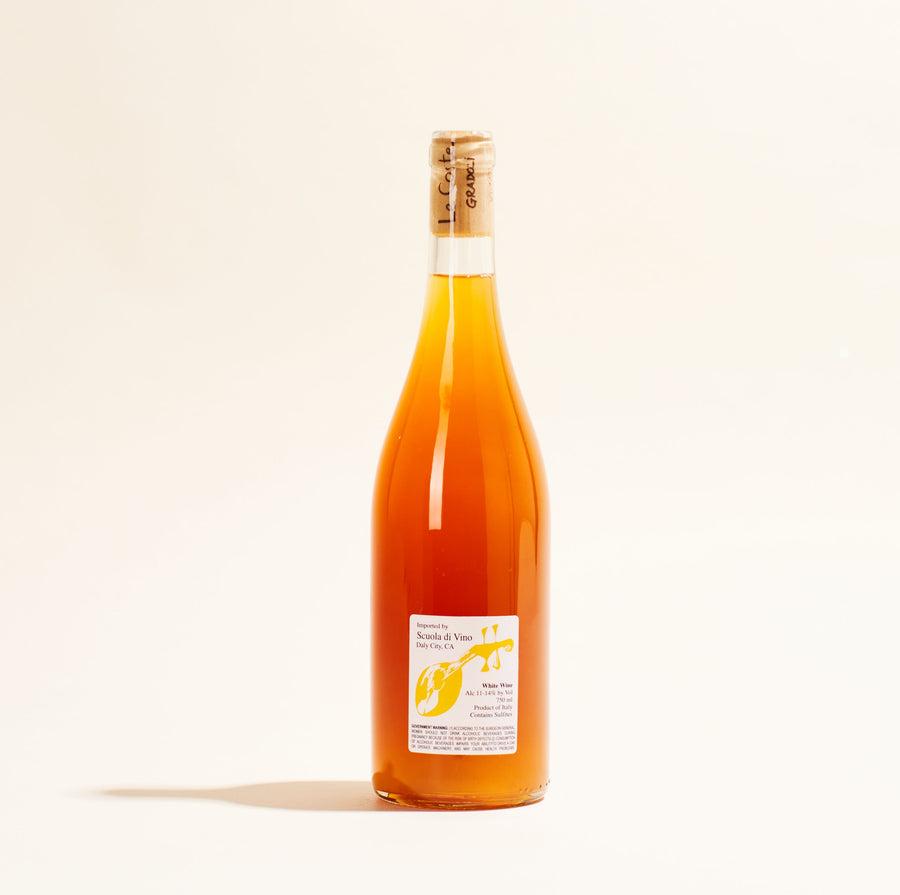 natural white orange wine ripazzo bianco le coste lazio italy 