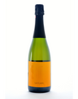 sin pet nat project sin penedes spain natural sparkling white wine