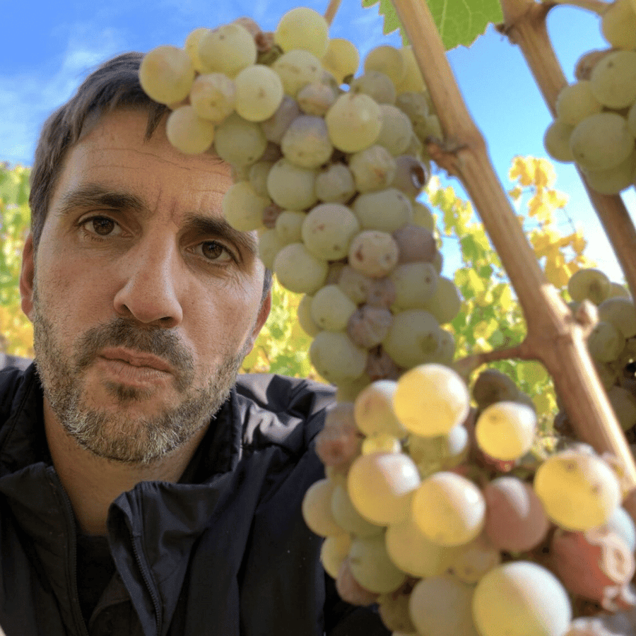 weingut edelberg vineyard